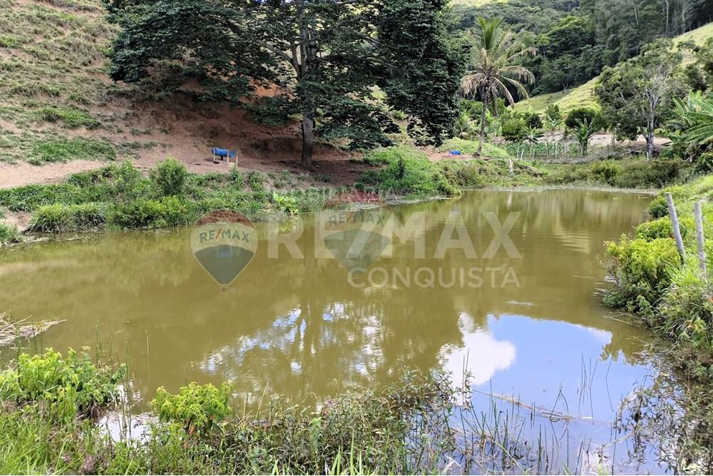 Chácara / Sítio / Fazenda - Venda - Taparuba , Minas Gerais - 4_image_4_watermark_sex._19122025_102005.jpg - 870451001-158