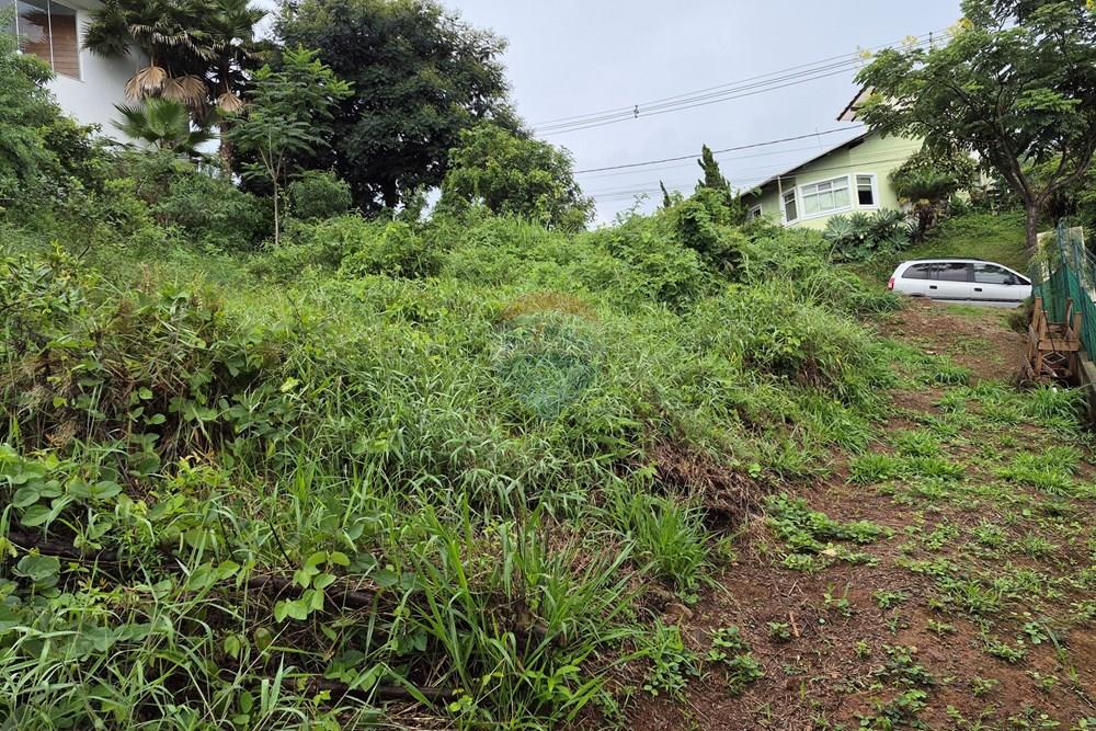 Terreno - Venda - Nova Lima , Minas Gerais - 20260318_105241.jpg - 870421084-35