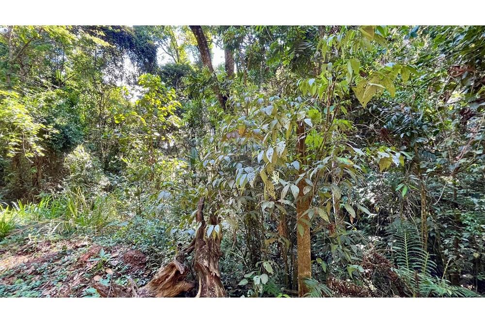 Terreno - Venda - Nova Lima , Minas Gerais - WhatsApp Image 2025-11-04 at 10.48.11 (10).jpeg - 870351032-24