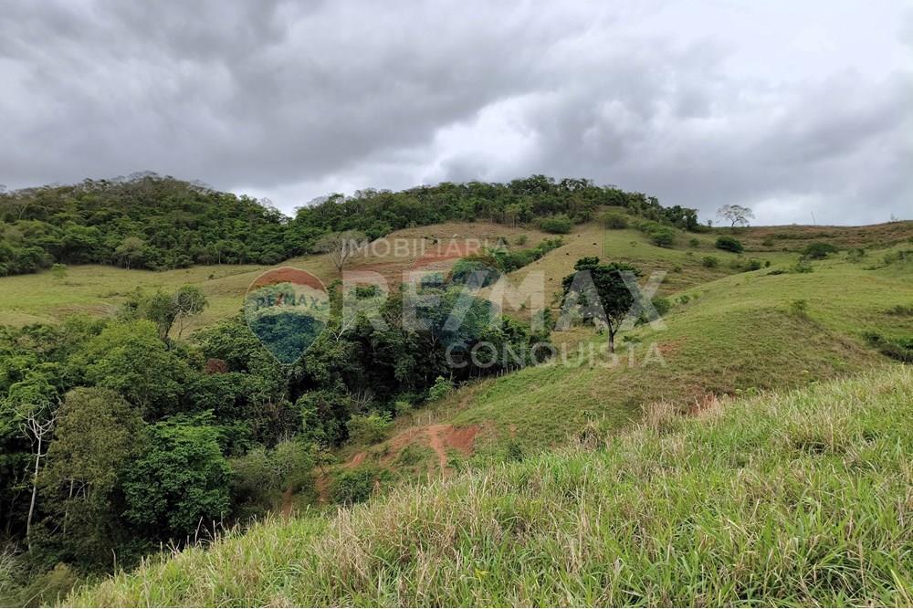 Chácara / Sítio / Fazenda - Venda - Ipanema , Minas Gerais - 2_image_2_watermark_qui._20112025_124245.jpg - 870451013-80