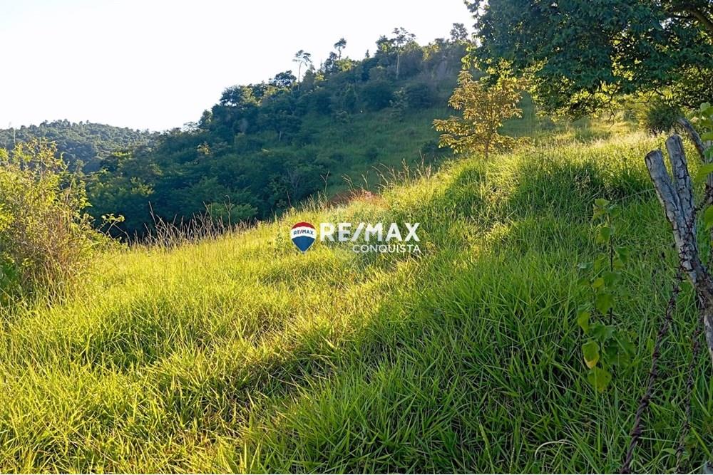 Chácara / Sítio / Fazenda - Venda - Pocrane , Minas Gerais - WhatsApp Image 2025-04-08 at 09.40.31(2).jpeg - 870451001-124