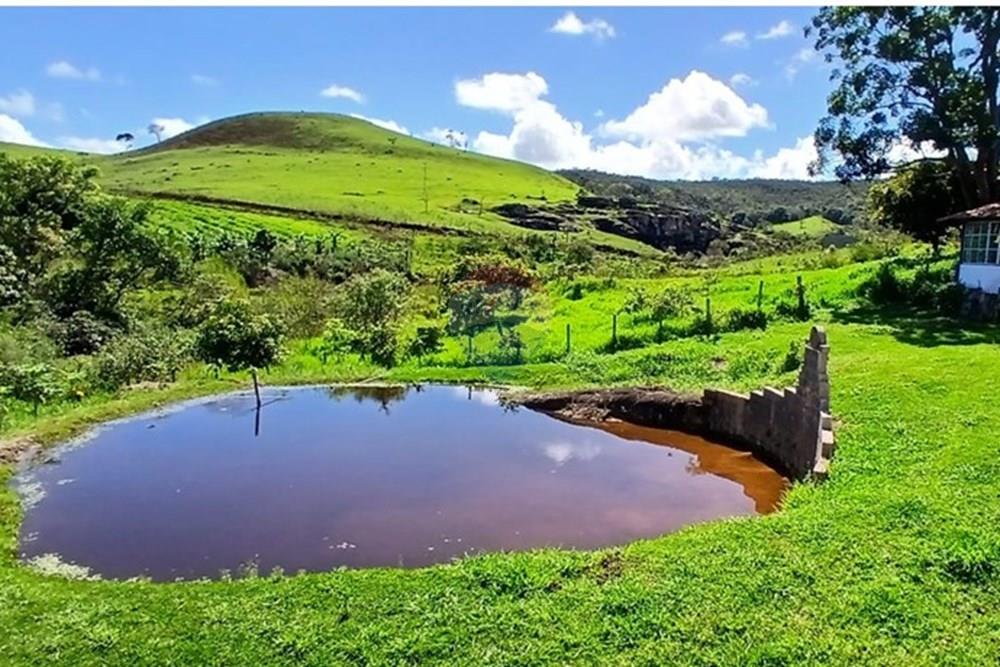 Fazenda - Venda - Serro , Minas Gerais - WhatsApp Image 2025-11-22 at 10.11.37.jpeg - 870411101-18