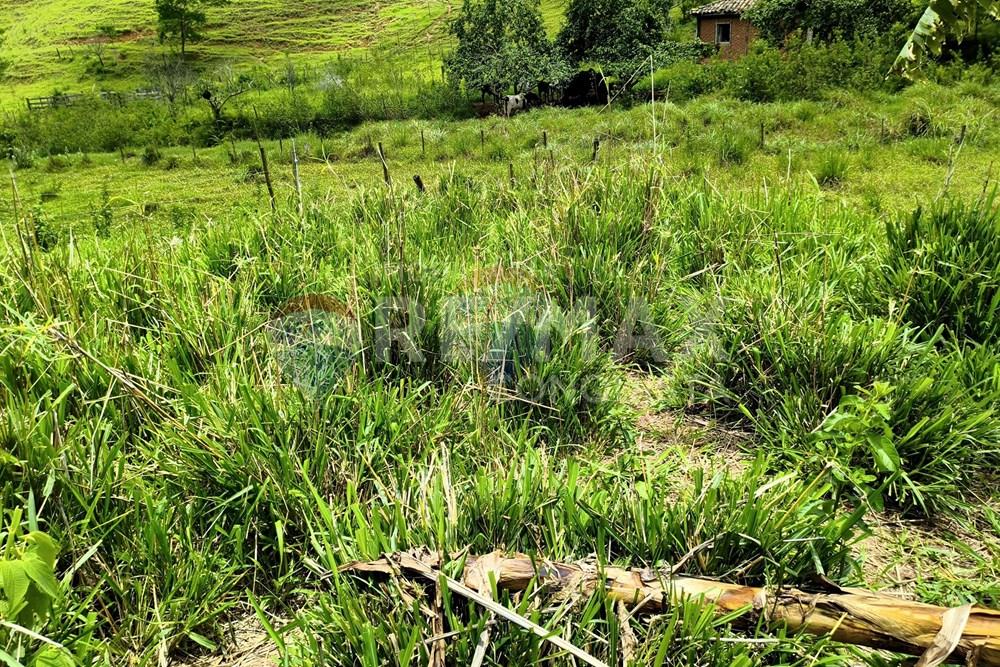 Chácara / Sítio / Fazenda - Venda - Taparuba , Minas Gerais - 8_image_8_watermark_ter._17022026_130558.jpg - 870451001-165