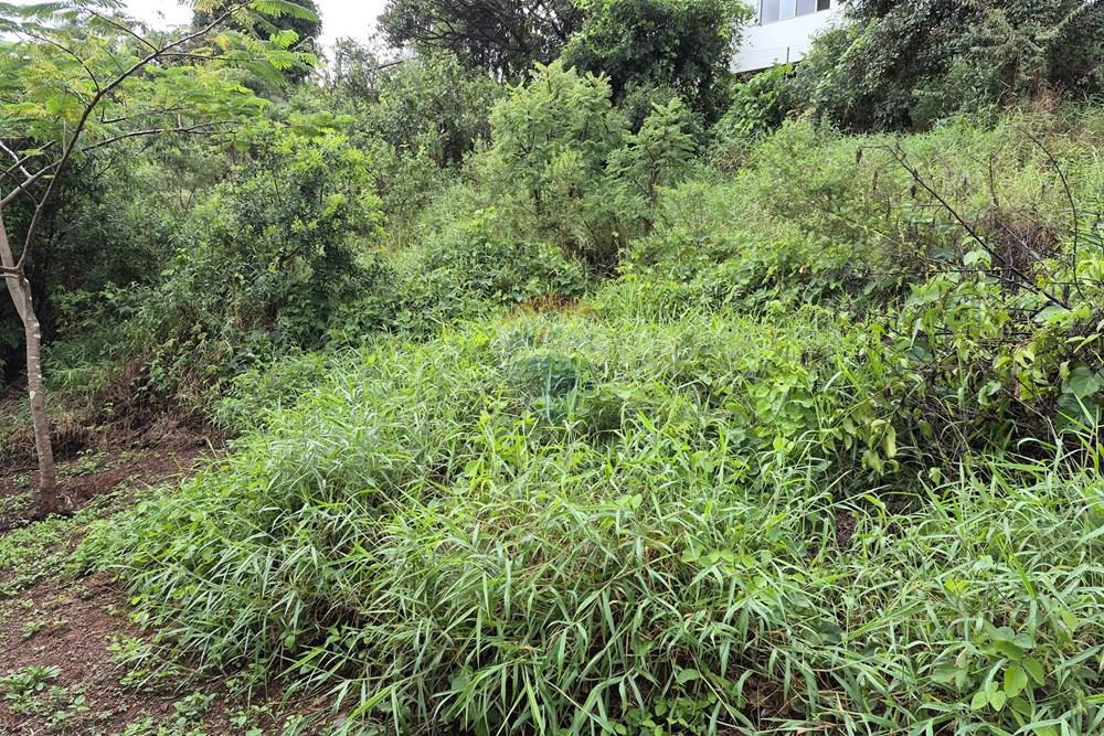 Terreno - Venda - Nova Lima , Minas Gerais - 20260318_105058.jpg - 870421084-35