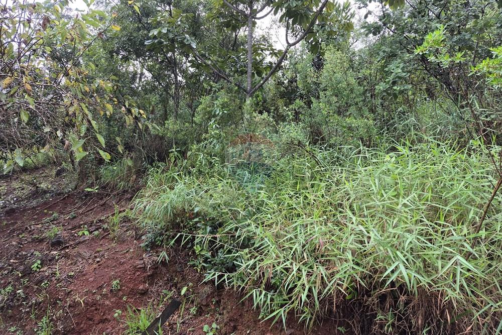 Terreno - Venda - Nova Lima , Minas Gerais - 20260318_105145.jpg - 870421084-35