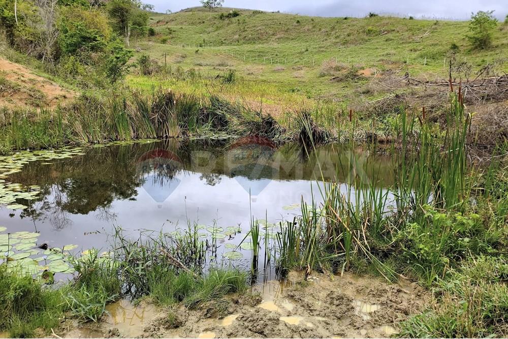 Chácara / Sítio / Fazenda - Venda - Ipanema , Minas Gerais - 5_image_5_watermark_qui._20112025_124338.jpg - 870451013-80