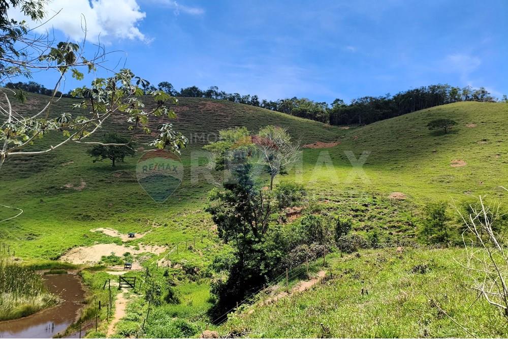 Chácara / Sítio / Fazenda - Venda - Taparuba , Minas Gerais - 9_image_9_watermark_sex._19122025_102042.jpg - 870451001-158