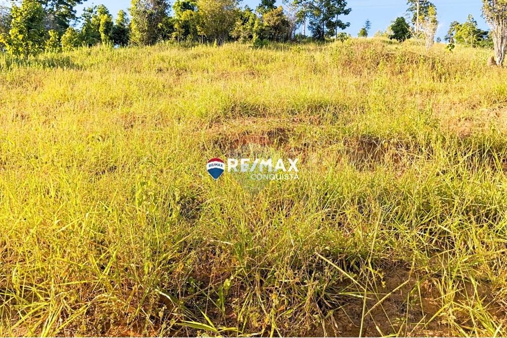 Chácara / Sítio / Fazenda - Venda - Pocrane , Minas Gerais - WhatsApp Image 2025-04-08 at 09.45.11(3).jpeg - 870451001-124