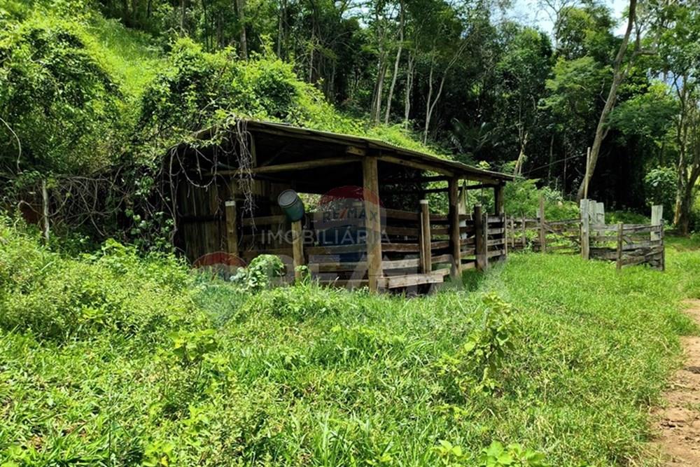 Chácara / Sítio / Fazenda - Venda - Taparuba , Minas Gerais - 4_image_4_watermark_ter._17022026_130809.jpg - 870451001-165