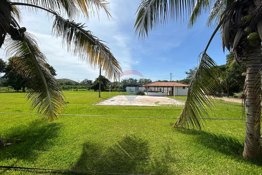 Chácara / Sítio / Fazenda - Venda - Alpercata , Minas Gerais - 21.jpeg - 870671001-168