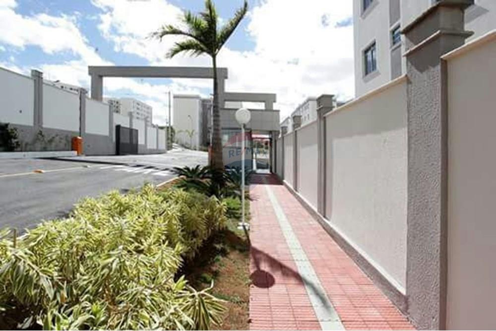 Apartamento - Venda - Belo Horizonte , Minas Gerais - WhatsApp Image 2025-12-04 at 4.48.57 PM.jpeg - 870421035-83