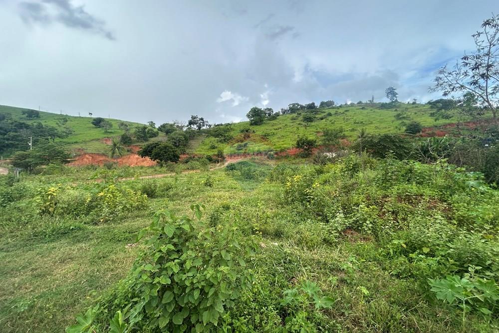 Chácara / Sítio / Fazenda - Venda - Alpercata , Minas Gerais - IMG_5647.jpg - 870671001-154