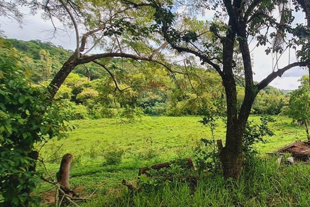 Fazenda - Venda - Pedro Leopoldo , Minas Gerais - foto 40.jpeg - 870411117-34