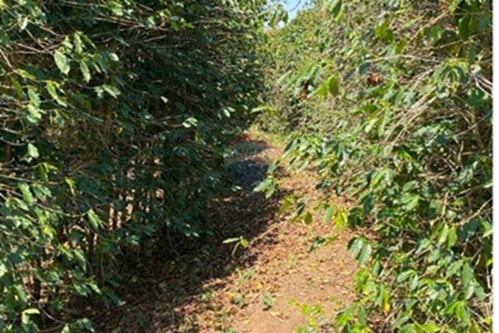 Chácara / Sítio / Fazenda - Venda - Casa Grande , Minas Gerais - WhatsApp Image 2025-11-10 at 11.27.37 (2).jpeg - 870411117-20