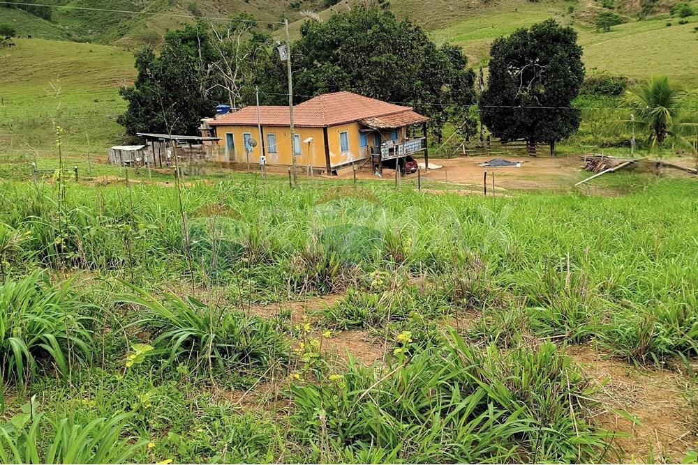 Chácara / Sítio / Fazenda - Venda - Ipanema , Minas Gerais - 5_image_5_watermark_qui._20112025_124803.jpg - 870451013-80