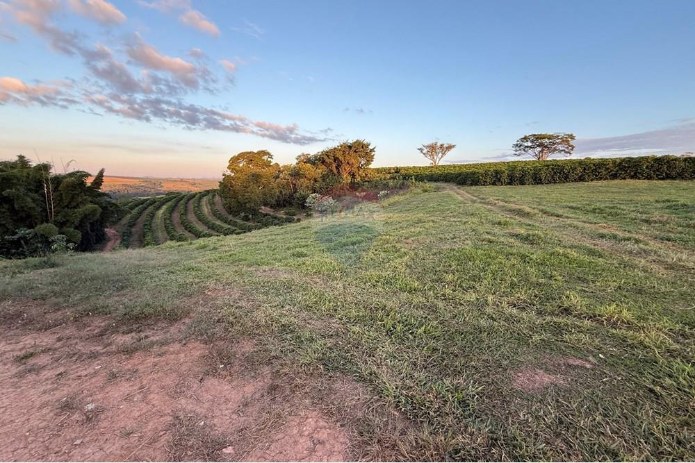 Fazenda - Venda - Ibiá , Minas Gerais - WhatsApp Image 2025-07-07 at 16.23.49 (2).jpeg - 870431012-52