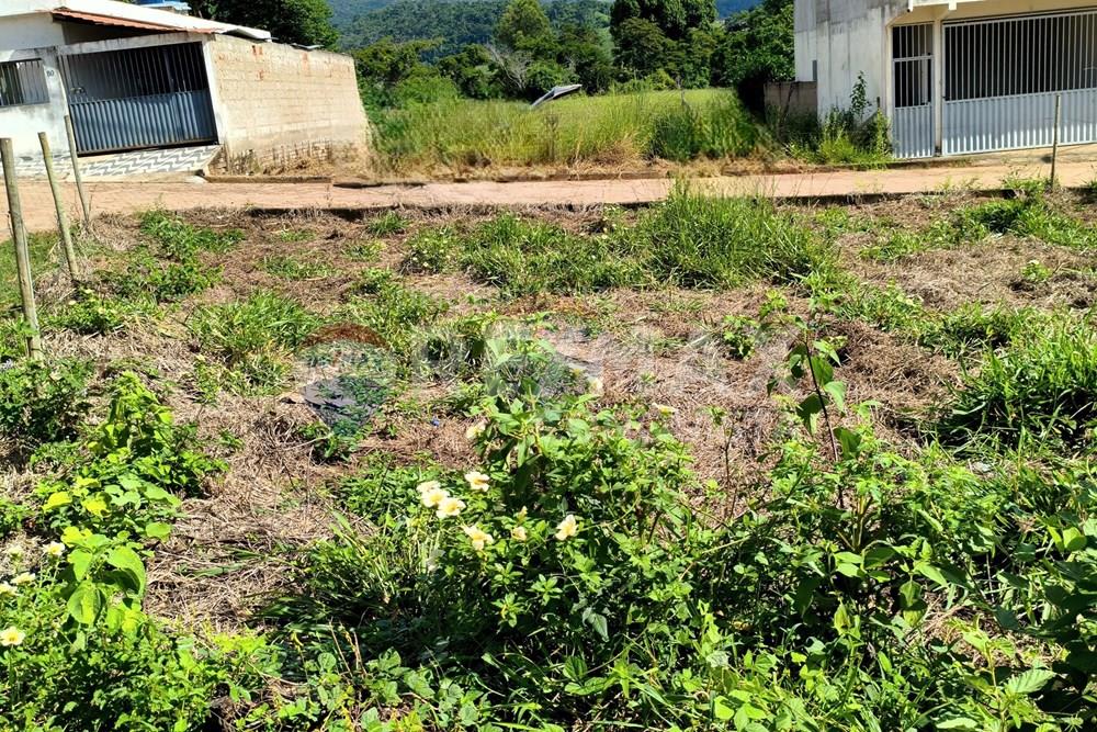 Terreno - Venda - Ipanema , Minas Gerais - 7_image_7_watermark_ter._17022026_130211.jpg - 870451004-118