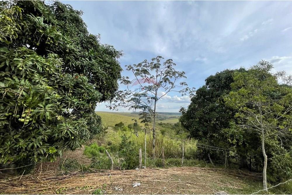 Fazenda - Venda - Araxá , Minas Gerais - 12.jpg - 870431045-55