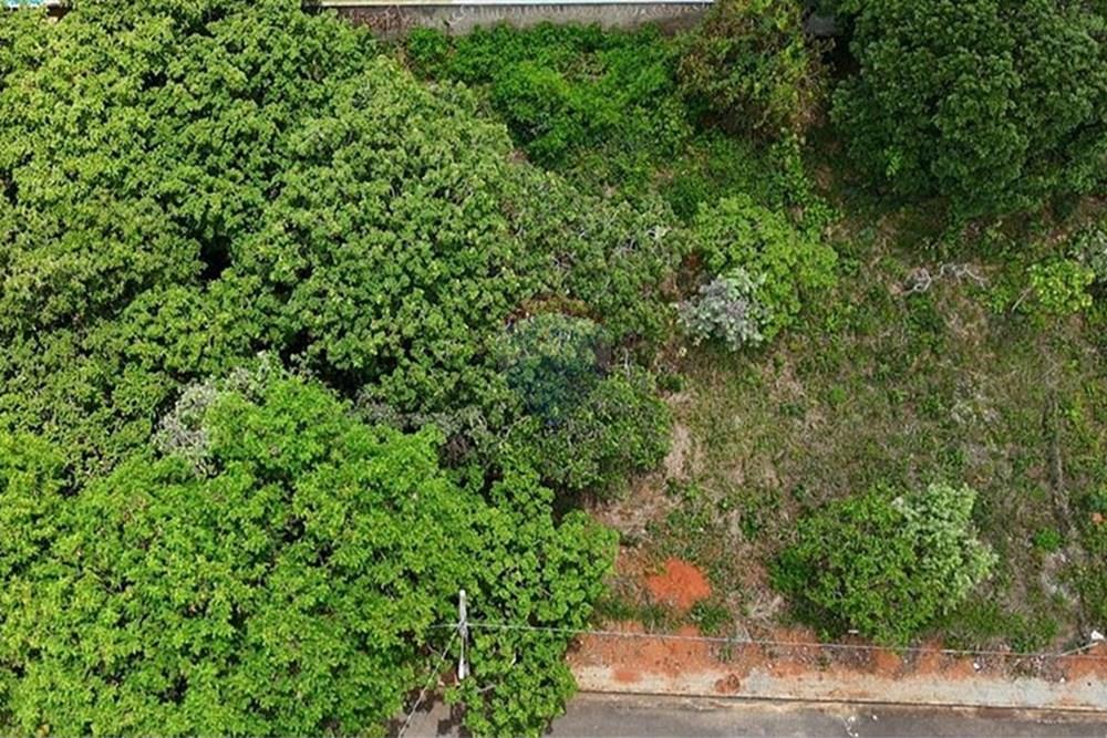 Terreno - Venda - Lagoa Santa , Minas Gerais - WhatsApp Image 2025-12-25 at 10.47.25.jpeg - 870761003-23