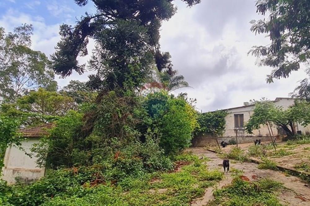 Fazenda - Venda - Pedro Leopoldo , Minas Gerais - WhatsApp Image 2025-12-11 at 15.18.44 (3).jpeg - 870411117-34