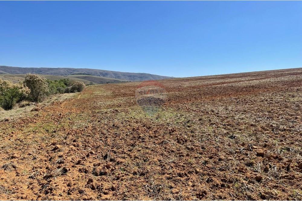 Chácara / Sítio / Fazenda - Venda - Araxá , Minas Gerais - José Cunha Oliveira Fazenda  Colina foto 7.jpg - 870431004-117