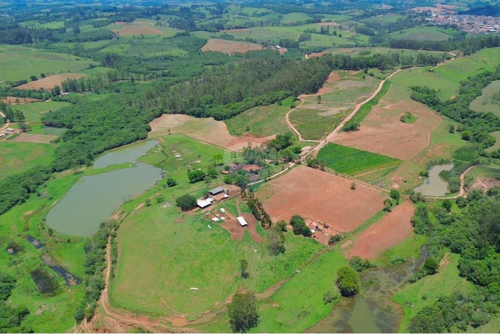Chácara / Sítio / Fazenda - Venda - Jacuí , Minas Gerais - FAZENDA SÃO JORGE-6.jpeg - 870601027-10