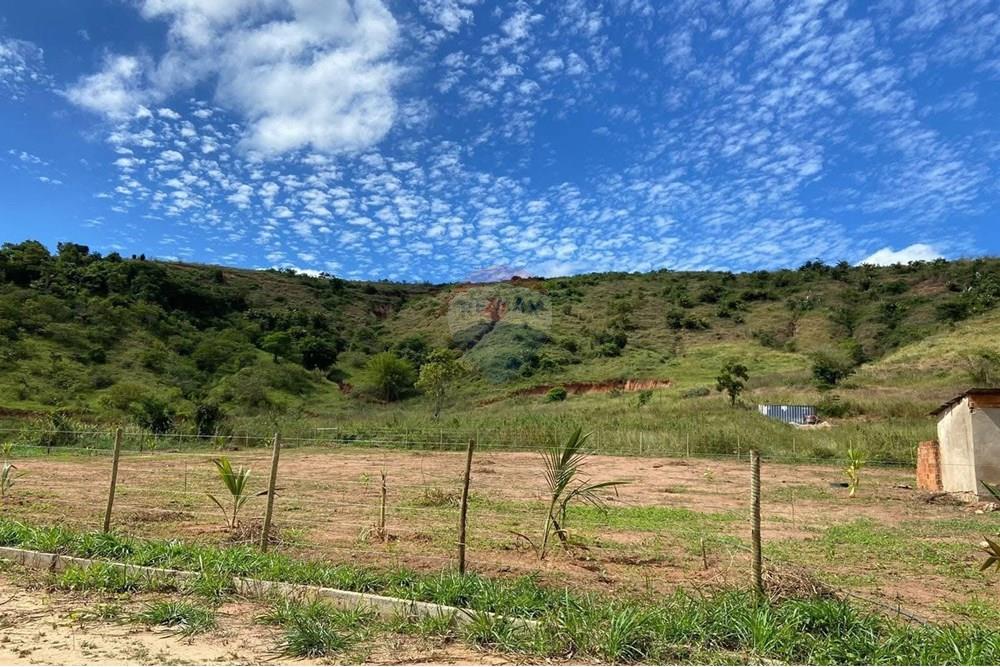 Chácara / Sítio / Fazenda - Venda - Governador Valadares , Minas Gerais - WhatsApp Image 2025-01-21 at 12.29.22 (2).jpeg - 870671017-100