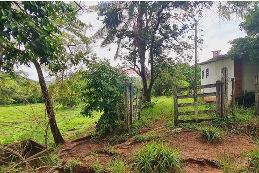 Fazenda - Venda - Pedro Leopoldo , Minas Gerais - WhatsApp Image 2025-12-11 at 15.20.32 (2).jpeg - 870411117-34