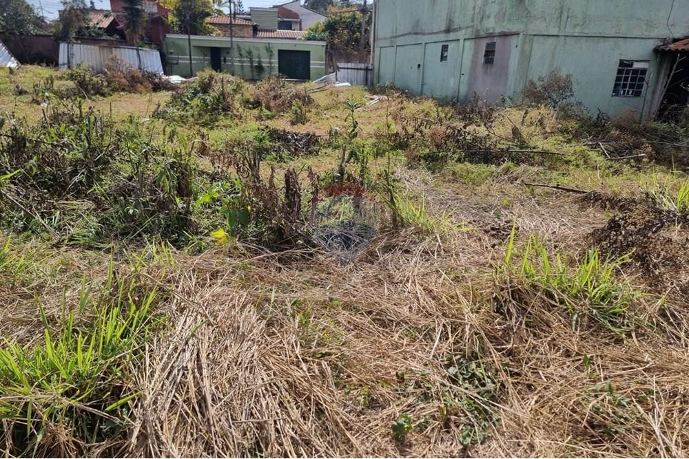 Terreno - Alugar - Nova Lima , Minas Gerais - Foto 16.jpeg - 870421084-26