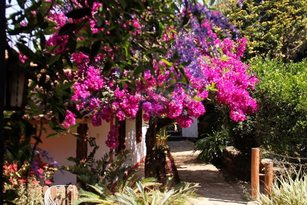 Hotel/ Pousada - Venda - Ouro Preto , Minas Gerais - 0 - 2.jpg - 870421014-377