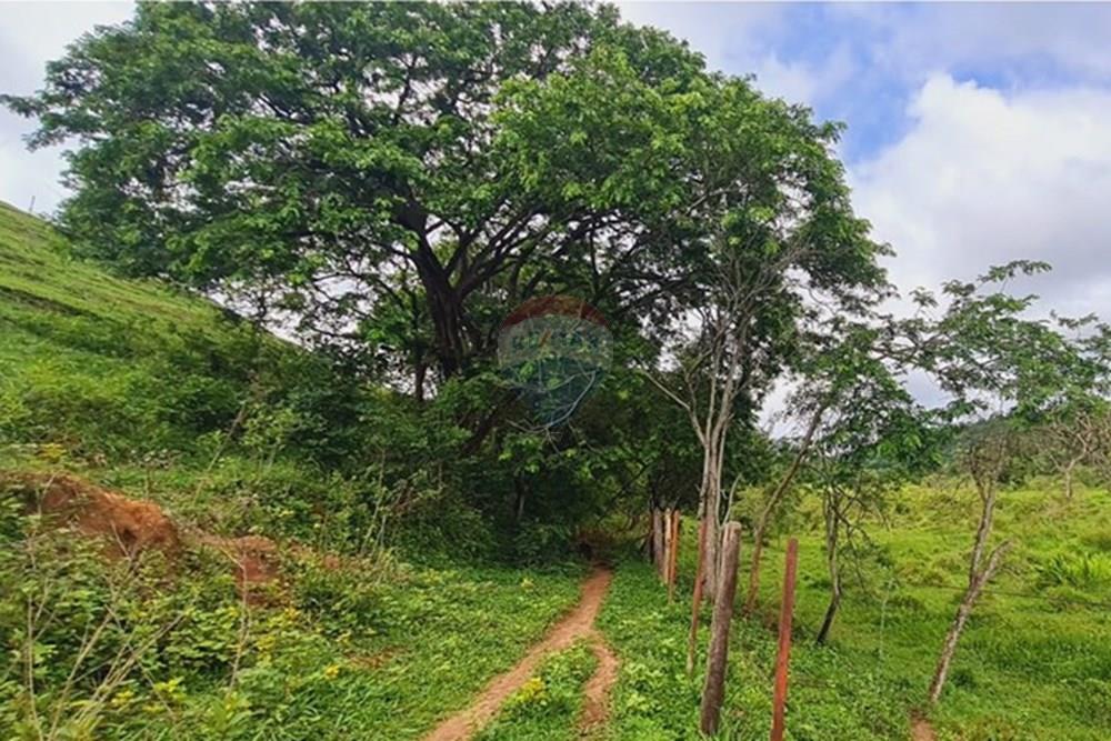Fazenda - Venda - Pedro Leopoldo , Minas Gerais - foto 43.jpeg - 870411117-34
