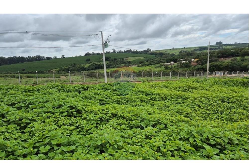Terreno - Venda - Araxá , Minas Gerais - RODRIGO 10.jpeg - 870431054-10