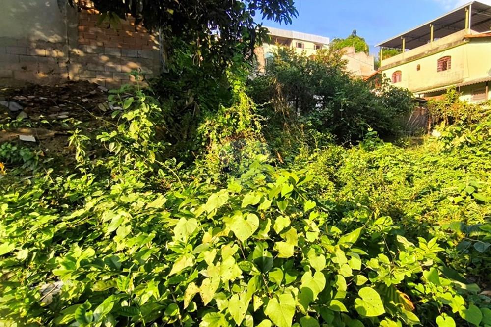 Terreno - Venda - Ibirité , Minas Gerais - 1744312819539.jpg - 870421081-6