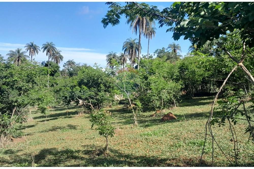 Terreno - Venda - Lagoa Santa , Minas Gerais - FOTO13 FAZENDA .jpg - Loft - 870421119-51