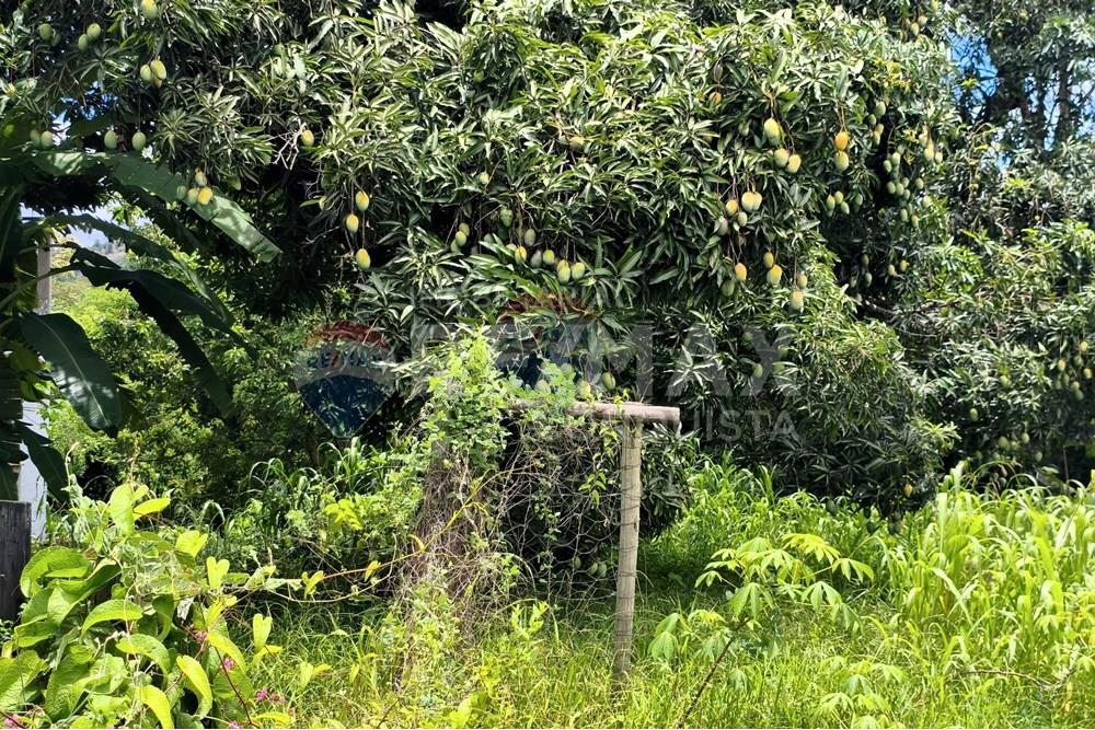 Terreno - Venda - Ipanema , Minas Gerais - 5_image_5_watermark_sex._19122025_100528.jpg - 870451004-112