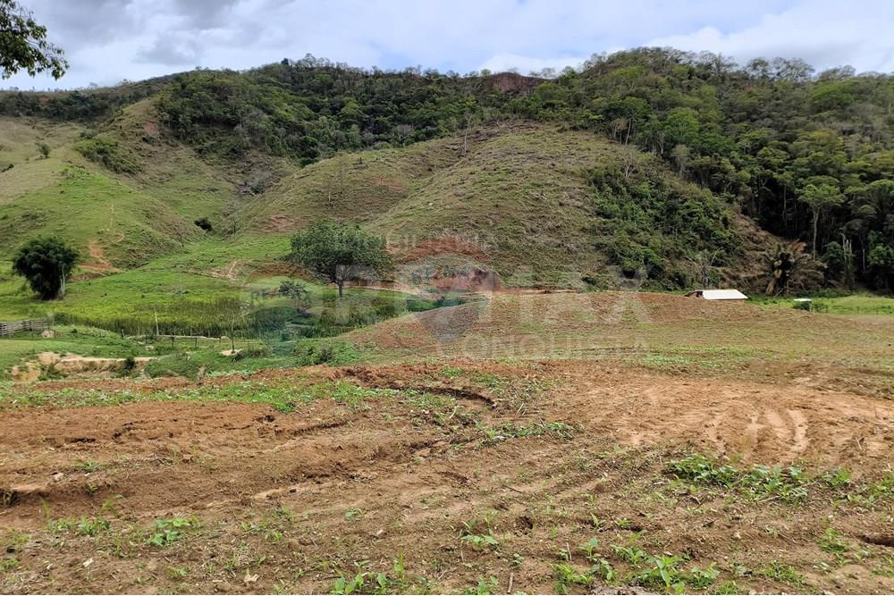 Chácara / Sítio / Fazenda - Venda - Ipanema , Minas Gerais - 4_image_4_watermark_qui._20112025_124338.jpg - 870451013-80