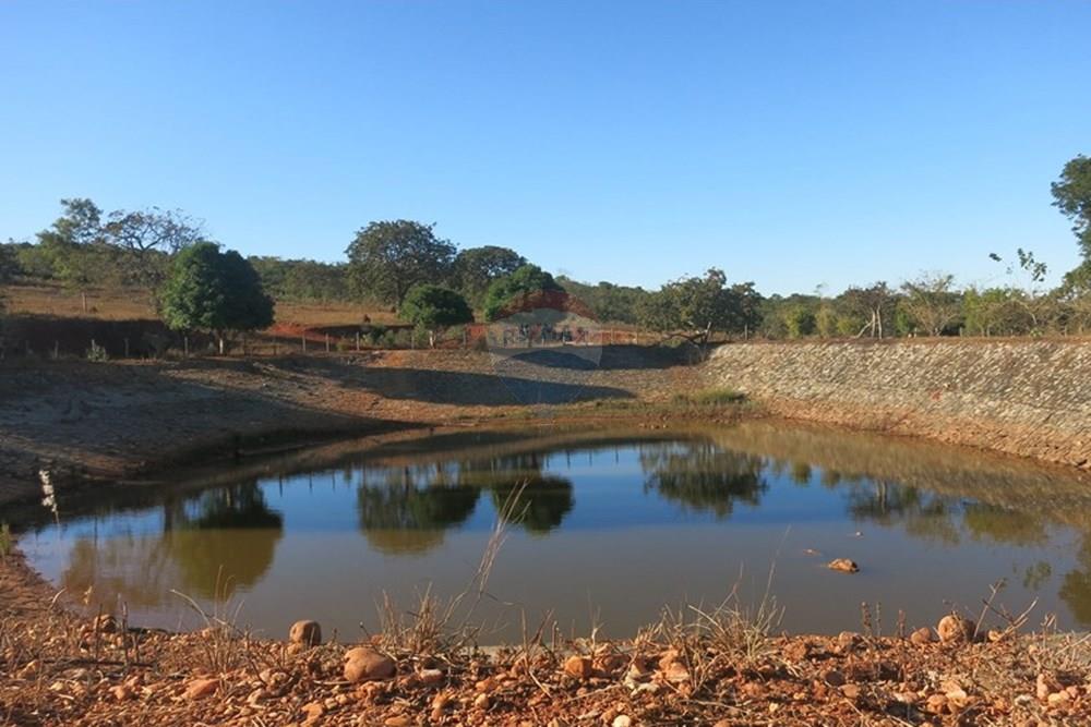 Chácara / Sítio / Fazenda - Venda - Pedro Leopoldo , Minas Gerais - IMG_3976.JPG - 870411101-6