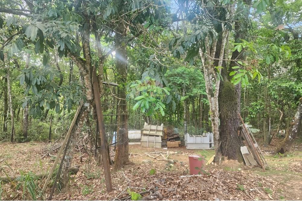 Chácara / Sítio / Fazenda - Venda - Contagem , Minas Gerais - FOTO77.jpg - 870241112-48