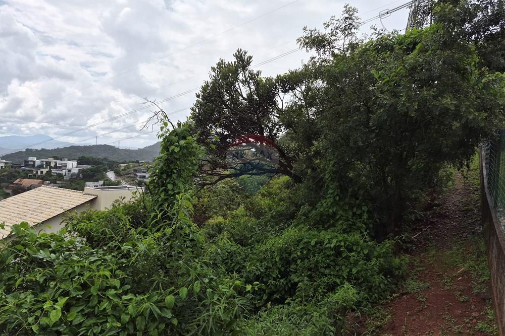 Terreno - Venda - Nova Lima , Minas Gerais - 20260318_105451.jpg - 870421084-35