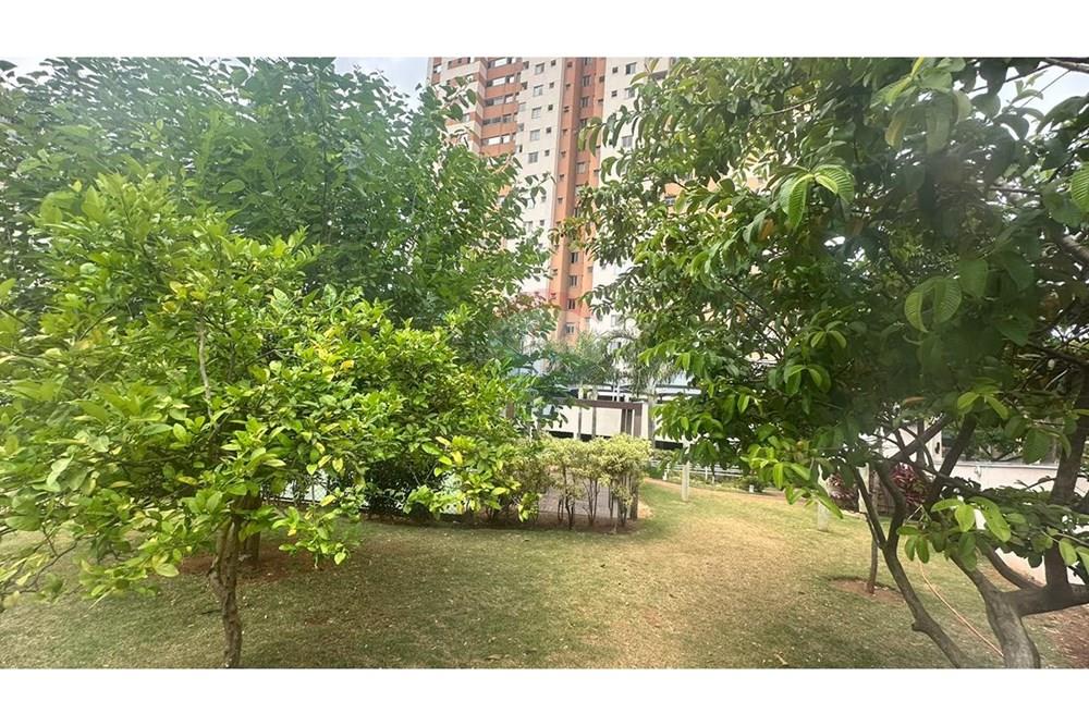 Apartamento - Venda - Belo Horizonte , Minas Gerais - 4ab25453-8770-4976-a6f5-4116d7b9fbdb.jpeg - 870411013-37