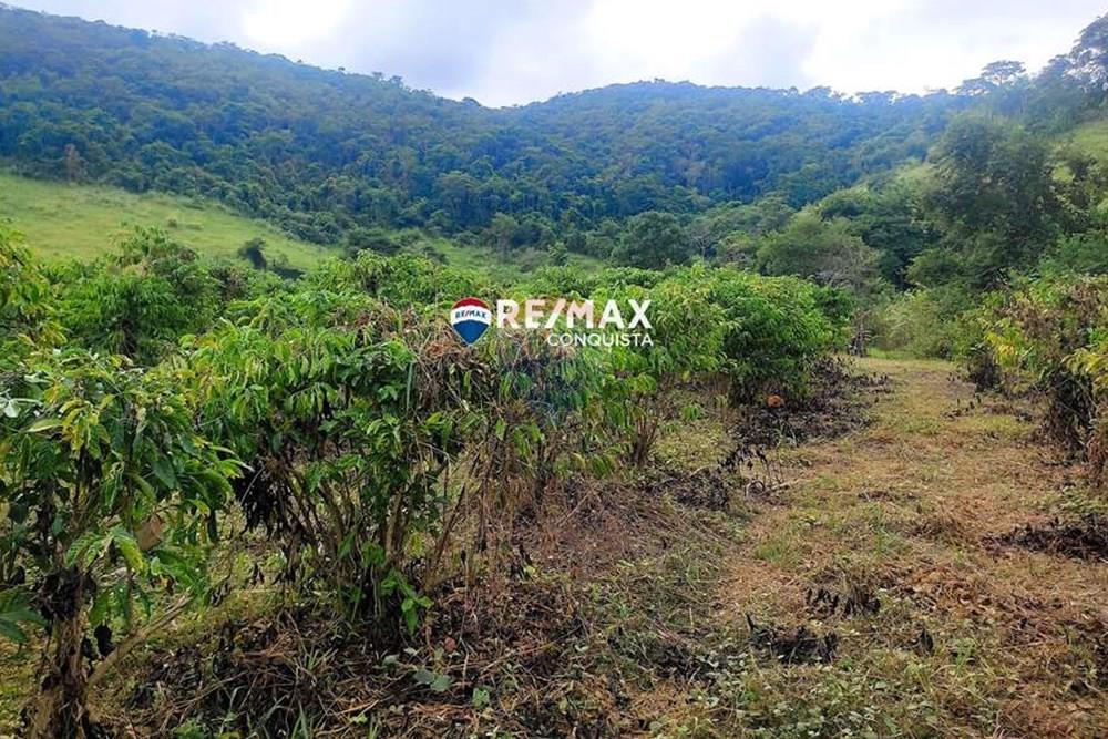 Chácara / Sítio / Fazenda - Venda - Ipanema , Minas Gerais - 0_IMG_20240515_084554_watermark_dom._23062024_101016.jpg - 870451001-121