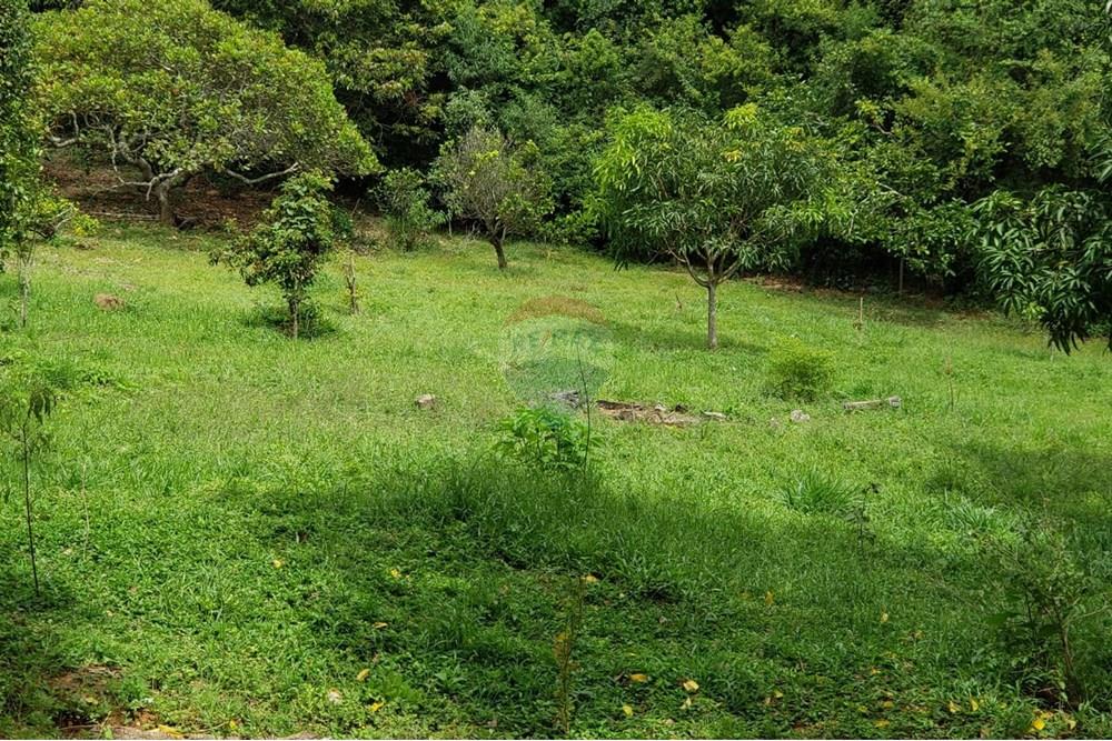 Chácara / Sítio / Fazenda - Venda - Caeté , Minas Gerais - WhatsApp Image 2025-08-25 at 12.42.16.jpeg - 870411117-15