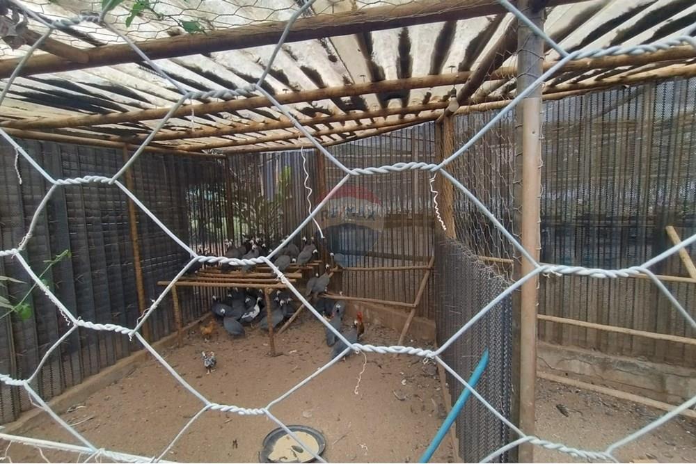 Casa de Condomínio - Venda - Caratinga , Minas Gerais - WhatsApp Image 2025-08-22 at 13.10.00.jpeg - 870711007-31