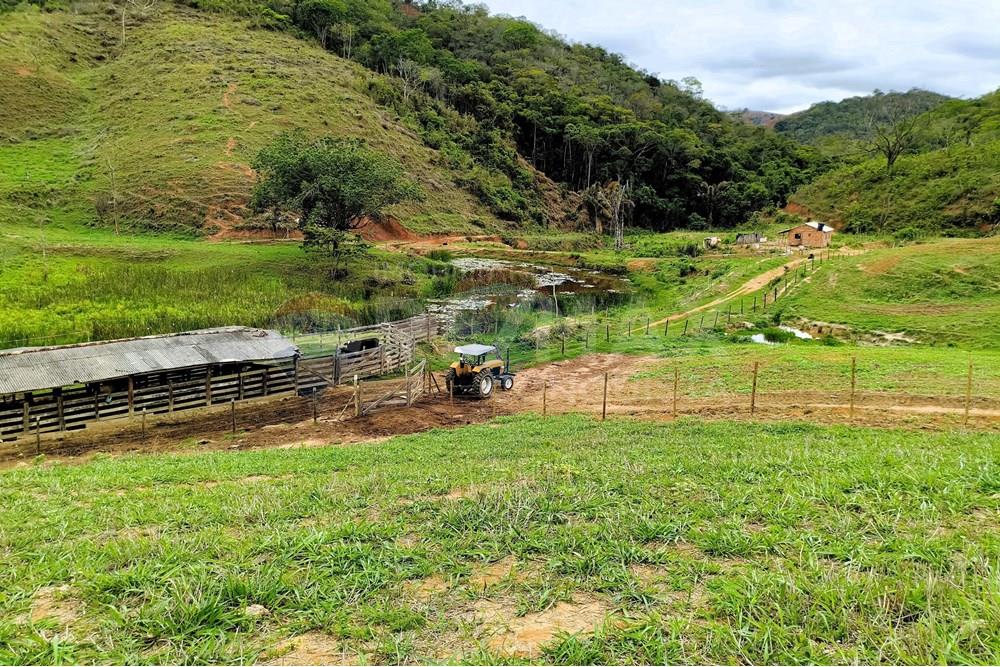 Chácara / Sítio / Fazenda - Venda - Ipanema , Minas Gerais - 3_image_3_watermark_qui._20112025_124902.jpg - 870451013-80