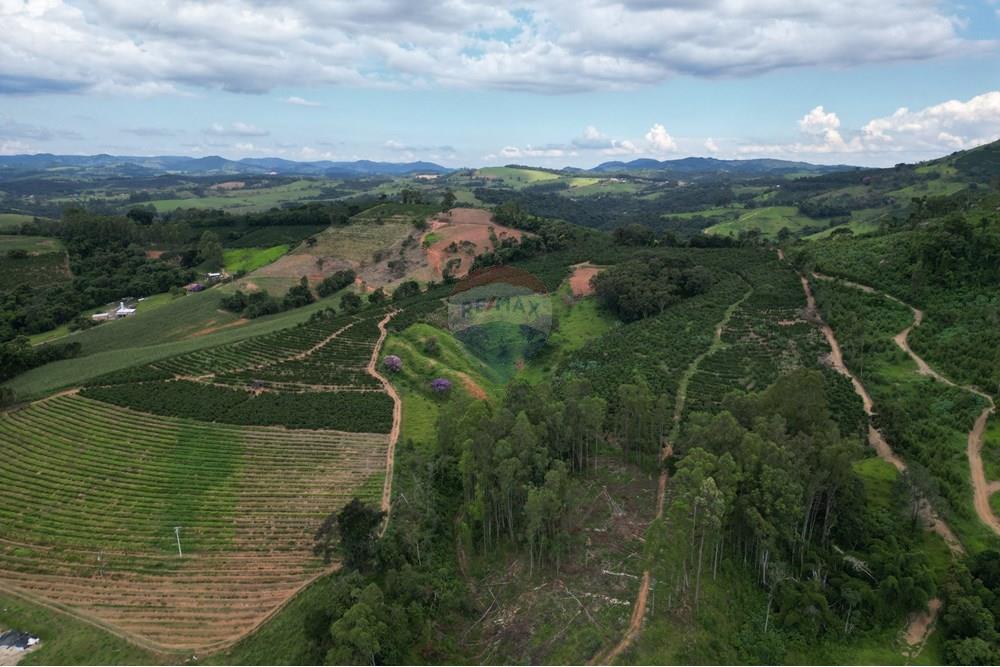 Fazenda - Venda - Caconde , São Paulo - DJI_0037.JPG - 870361041-102