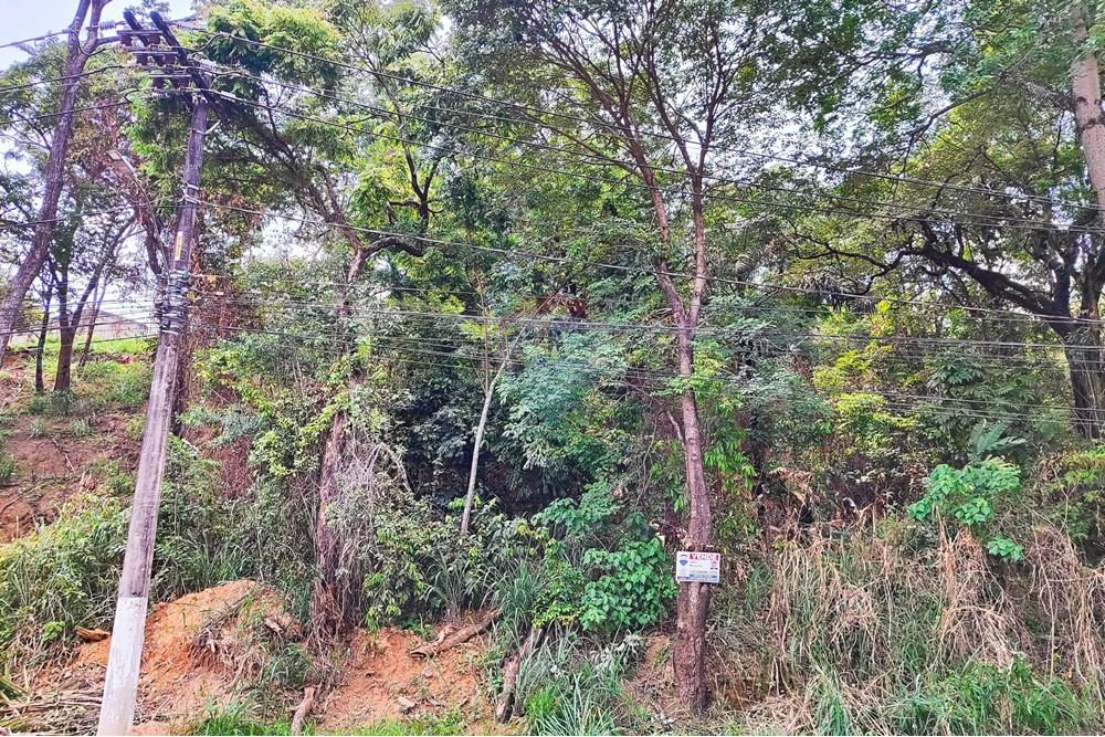 Terreno - Venda - Vespasiano , Minas Gerais - IMG_20251130_125828.jpg - 870251115-3