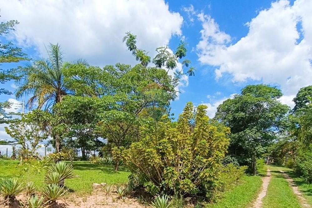 Terreno - Venda - Brumadinho , Minas Gerais - WhatsApp Image 2025-11-20 at 10.07.27 (3).jpeg - 870421014-353