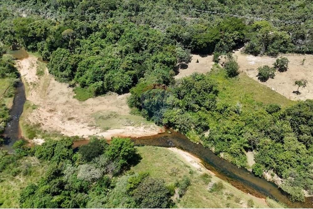 Chácara / Sítio / Fazenda - Venda - Delfinópolis , Minas Gerais - WhatsApp Image 2025-05-01 at 17.34.35.jpeg - 870721003-2