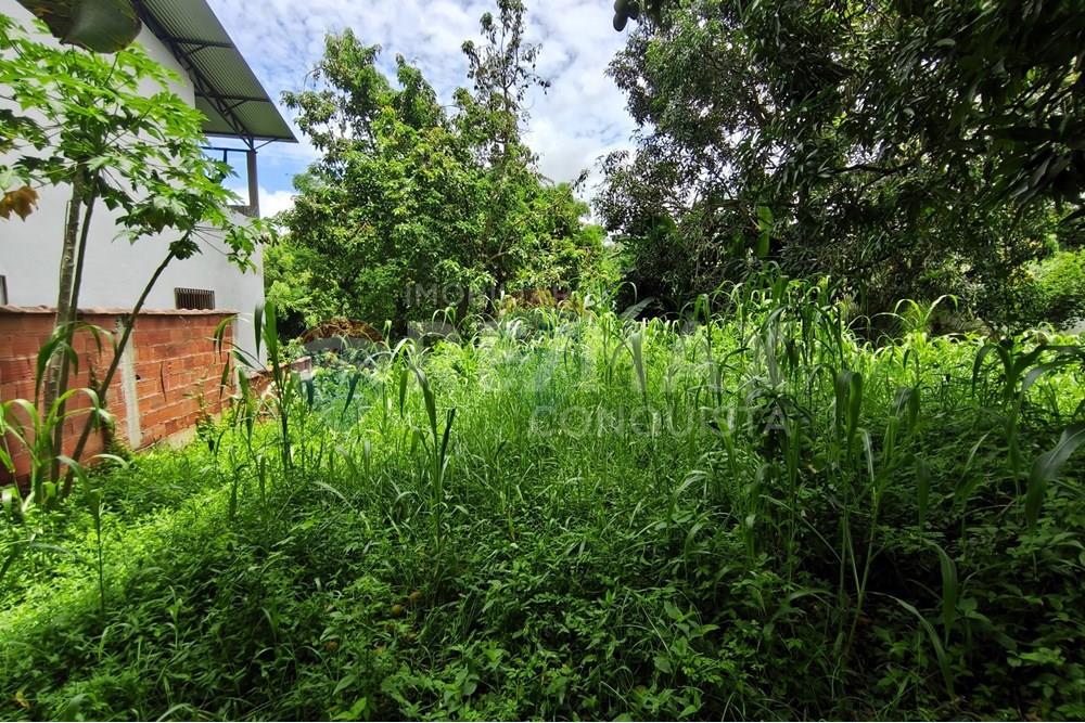 Terreno - Venda - Ipanema , Minas Gerais - 4_image_4_watermark_sex._19122025_100528.jpg - 870451004-112