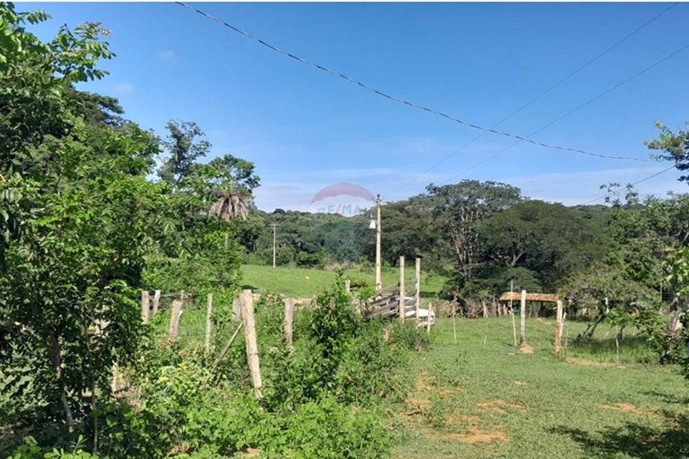 Terreno - Venda - Lagoa Santa , Minas Gerais - FOTO4 FAZENDA .jpg - 870421119-51